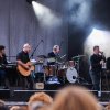 Foto Racoon te Share A Perfect Day 2016