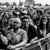 Foto  op Rock Werchter 2016 - Vrijdag