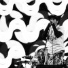 Foto Red Hot Chili Peppers te Rock Werchter 2016 - Zaterdag