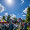 Cabaretinfo review: Festival de Beschaving 2016