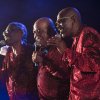 Foto The Trammps te 40UP Zomerfestival 2016