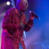 Foto The Trammps op 40UP Zomerfestival 2016