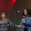 Festivalinfo review: Fields of Joy Festival 2016