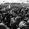 Cabaretinfo review: Zwarte Cross 2016 - zondag