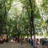 Foto  op Sziget 2016 - Vrijdag