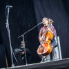 Foto The Lumineers te Pukkelpop 2016 - Vrijdag
