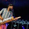 Foto De Likt te Amsterdam Woods Festival 2016 - vrijdag