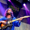 Foto Husky te Amsterdam Woods Festival - Zaterdag