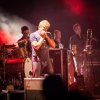 Foto Racoon te Racoon - 2 september 2016 - Metropool Open Air