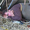 Foto op Castlefest 2007