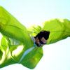 foto Lowlands 2007