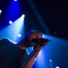 Foto Diggy Dex te Diggy Dex - 8/10 - Paard van Troje