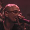 foto Diggy Dex - 8/10 - Paard van Troje