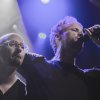Foto Diggy Dex te Diggy Dex - 8/10 - Paard van Troje