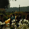 Foto  op Mystery Land 2007