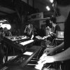 Foto Daimy Lotus te Popronde Hengelo 2016