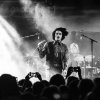 Foto The Growlers te The Growlers -1 4/11 - Tolhuistuin