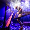 Foto Remy van Kesteren te Remy van Kesteren - 25/10 - Paard van Troje