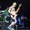Red Hot Chili Peppers foto Red Hot Chili Peppers - 08/11 - Ziggo Dome