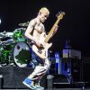 Foto Red Hot Chili Peppers te Red Hot Chili Peppers - 08/11 - Ziggo Dome