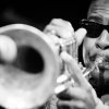 Roy Hargrove foto Roy Hargrove - 13/01 - Bird