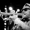 Roy Hargrove foto Roy Hargrove - 13/01 - Bird