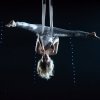 Festivalinfo review: Vrienden van Amstel Live! 19/01 Ahoy