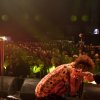 The Polecats