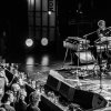 Foto Thundercat te Transition Festival 2017