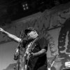 Foto Pennywise te Groezrock 2017 - Zondag