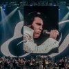 Royal Philharmonic Concert Orchestra foto Elvis in Concert - 10/05 - Rotterdam Ahoy