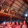 Cabaretinfo review: Dauwpop 2017