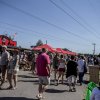 Cabaretinfo review: Central Park Festival 2017