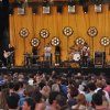 Foto Racoon te Nirwana 2017