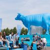 foto The Flying Dutch 2017 - Rotterdam
