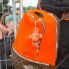 Foto  op The Flying Dutch 2017 - Rotterdam
