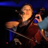 Foto Spinvis te Down The Rabbit Hole 2017 - Zaterdag