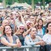 Festivalinfo review: Night at the Park 2017