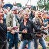 foto Night at the Park 2017