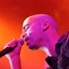 Foto Live te Lowlands 2003