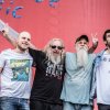 Seasick Steve foto Rock Werchter 2017 - Zaterdag