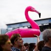 Foto  op Concert At Sea 2017