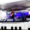 Foto op Fields of Joy 2017