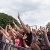 Cabaretinfo review: Fields of Joy 2017