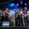 Mr Wallace foto Welcome To The Village 2017 - Zaterdag