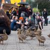 Foto  op Amphi Festival 2017