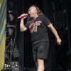Foto  op Paléo Festival 2017