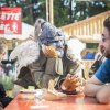 Foto  op Paléo Festival 2017