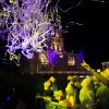 Foto  op Suikerrock 2017