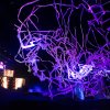 Foto  op Suikerrock 2017